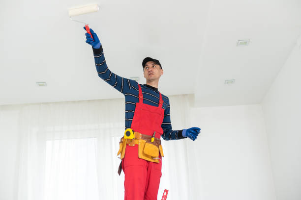 Reliable Evansdale, IA Painting & Drywall Installation Solutions