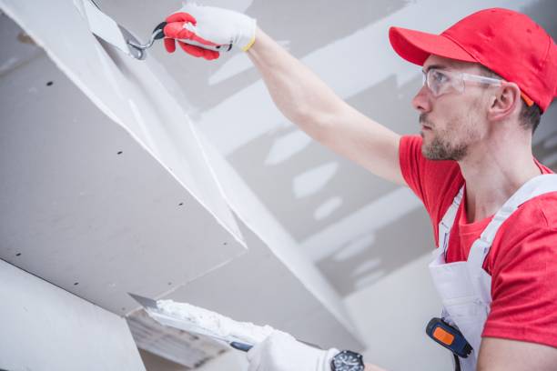 Best Drywall Sanding and Smoothing  in Evansdale, IA